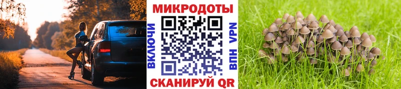 Галлюциногенные грибы Psilocybine cubensis  Мостовской 